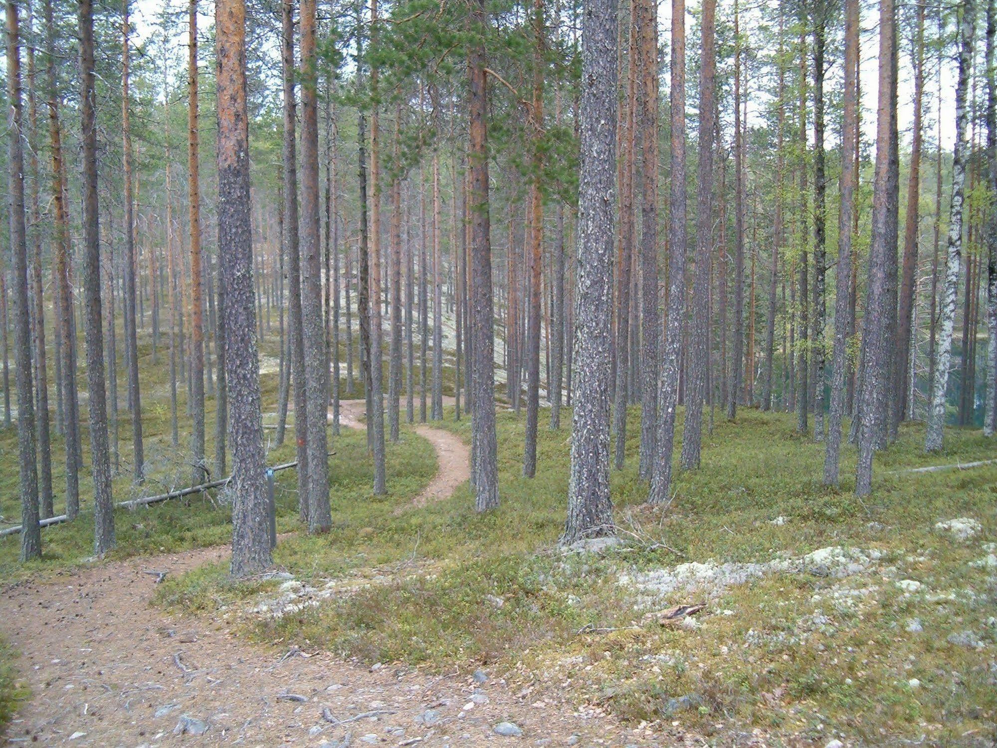 Manamansalo Camping Buitenkant foto